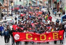 Partido de los Trabajdores le incomoda al MAS y al POR