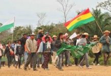 Cuando el gobierno «originario» se enfrenta con la poblacion indigena